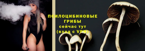 ALPHA-PVP Краснослободск